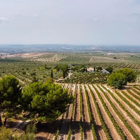 Cortijo Don Simon Σπίτι διακοπών *